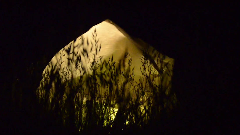 Prairie - 80_NuitAnthony